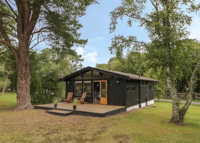 Blue Pine Lodge